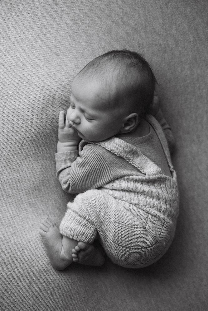 Photograph by Olga Fedorova