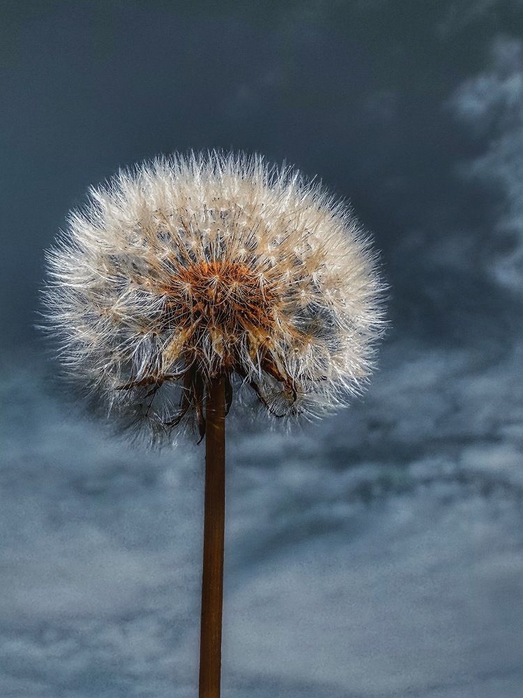 Photograph by Светлана Долганова