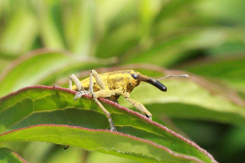 Photograph by Елена Карпухно