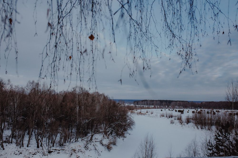 Photograph by Светлана Голик