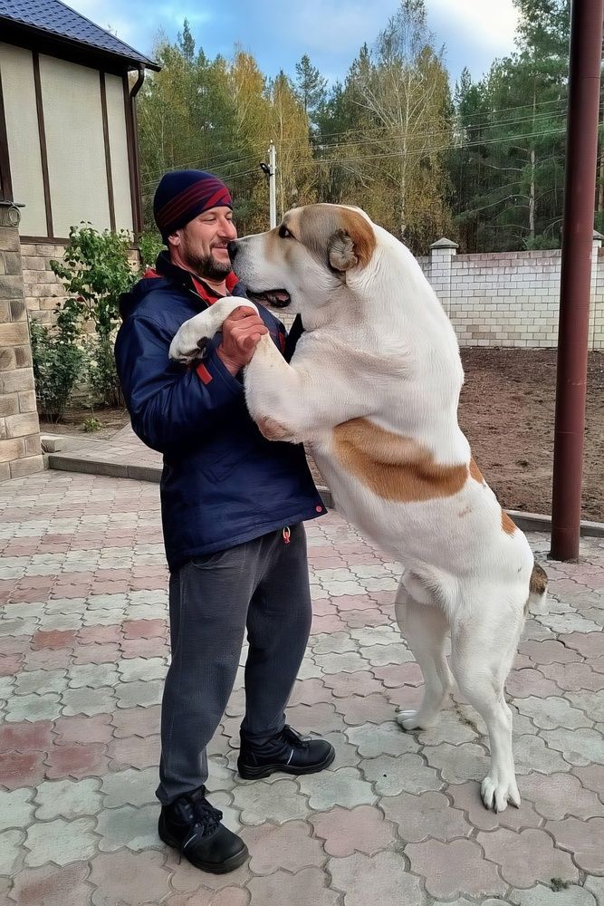 Фотография автора Владимир Чубенко