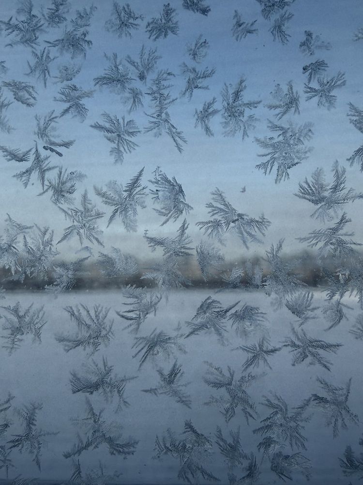 Photograph by Марина Сальникова