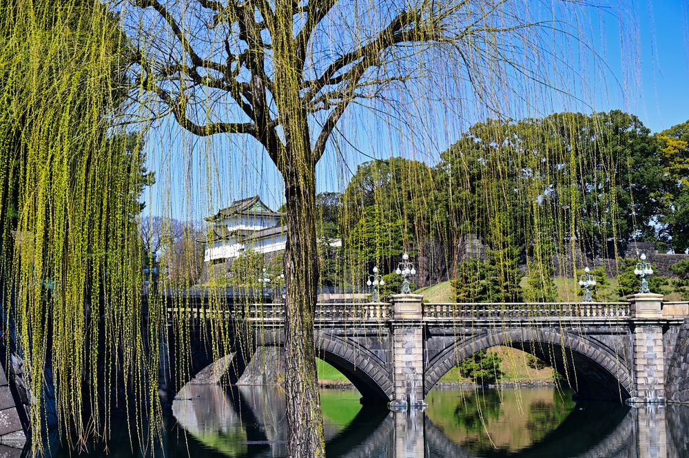 Photograph by Eftychia Vlachonatsou