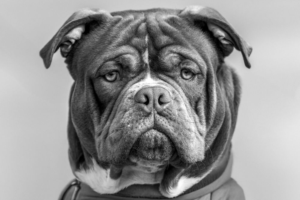 Фотография автора Дмитрий Скворцов