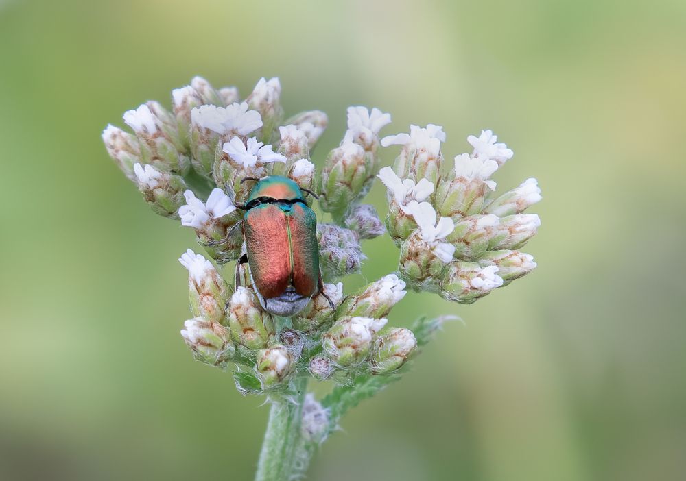 Photograph by Дарья