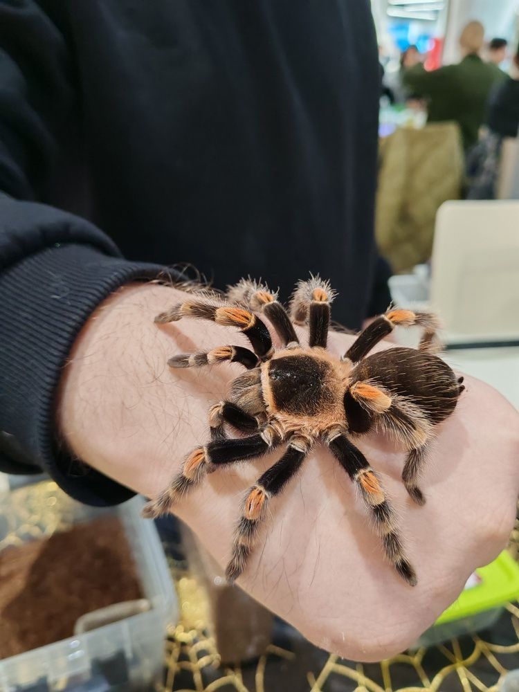 Photograph by Альбина Майкова