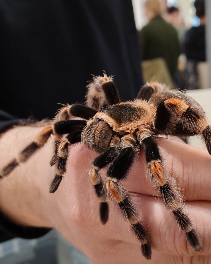 Photograph by Альбина Майкова