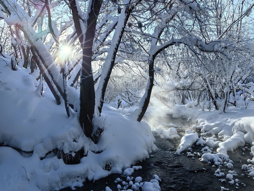 Photograph by Григорий Ходырев