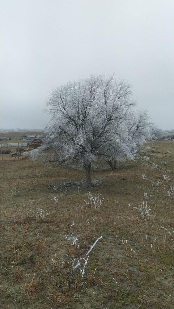 Photograph by Ирина Рягузова