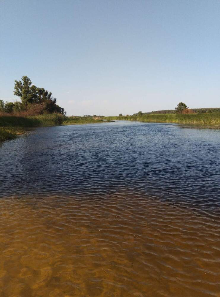 Photograph by Ирина Рягузова