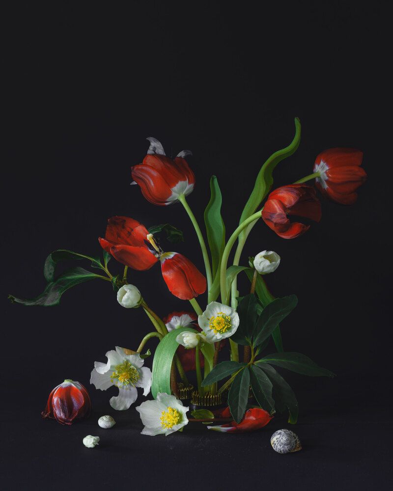 Still life in Red and Green