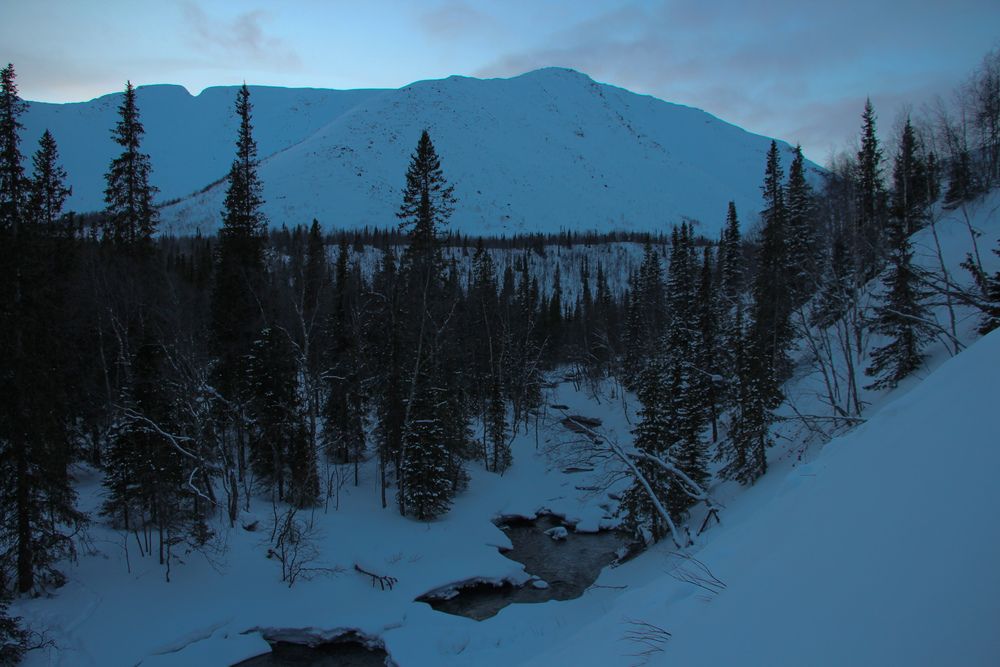 Photograph by Дарья Андрийчук