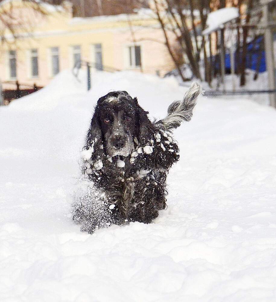 Photograph by Елена Ермакова