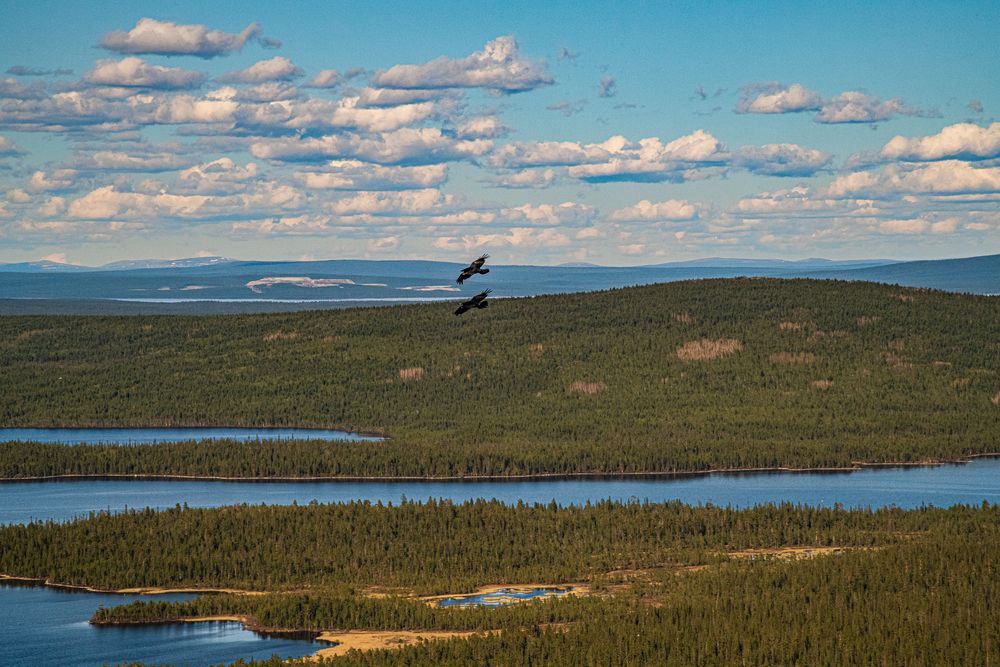 Photograph by Юрий Платухин