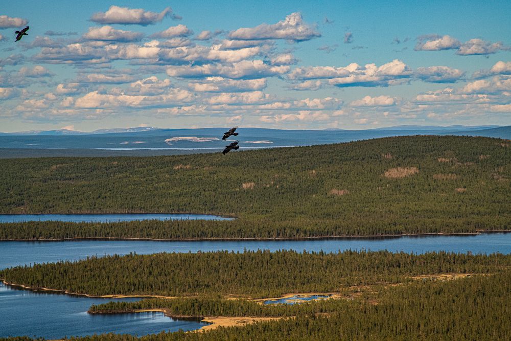 Photograph by Юрий Платухин