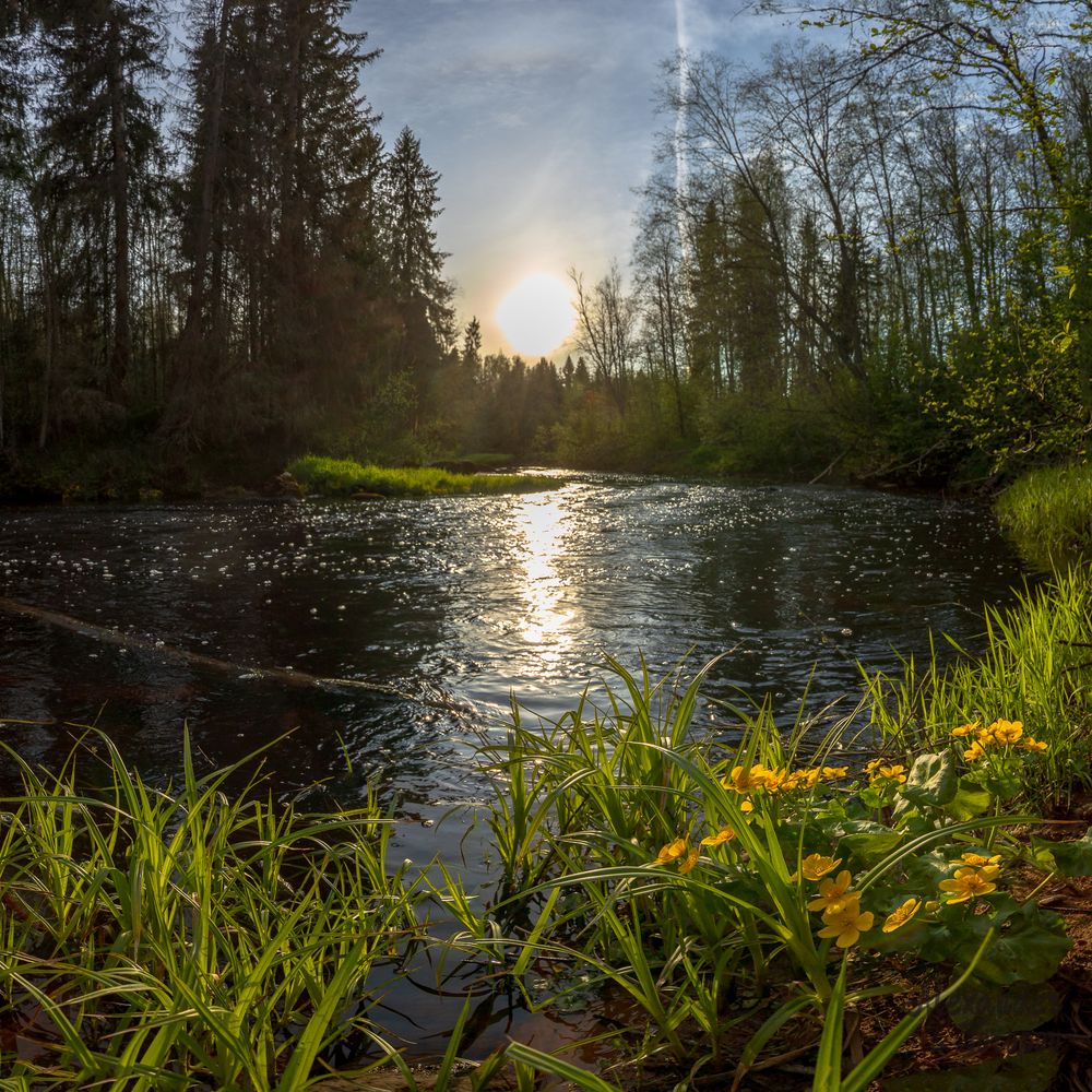 Photograph by Торопов Александр