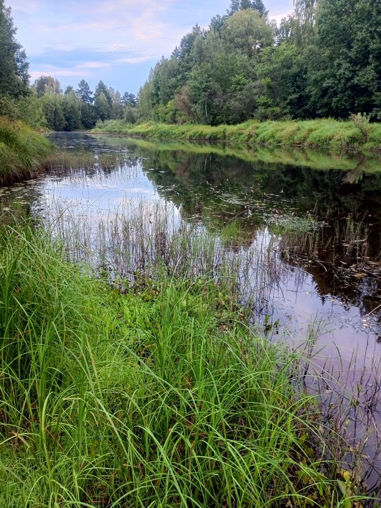 Photograph by Галина Худобина