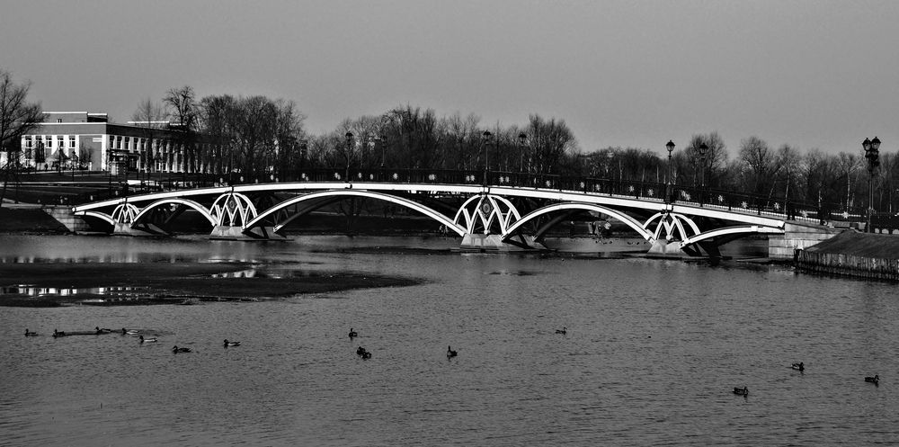 Фотография автора Елена Чулюнина