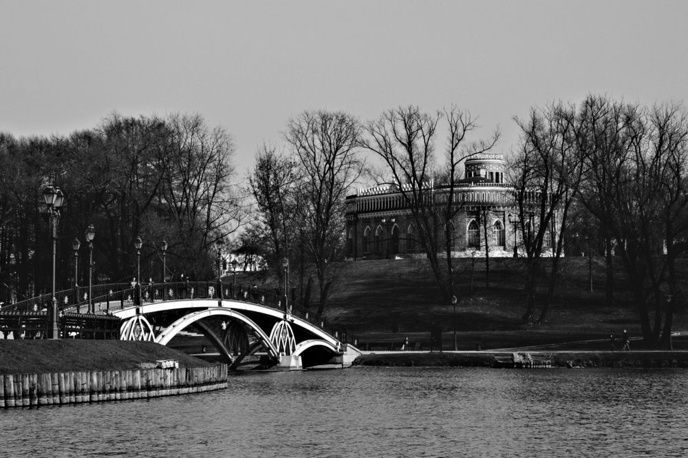 Фотография автора Елена Чулюнина