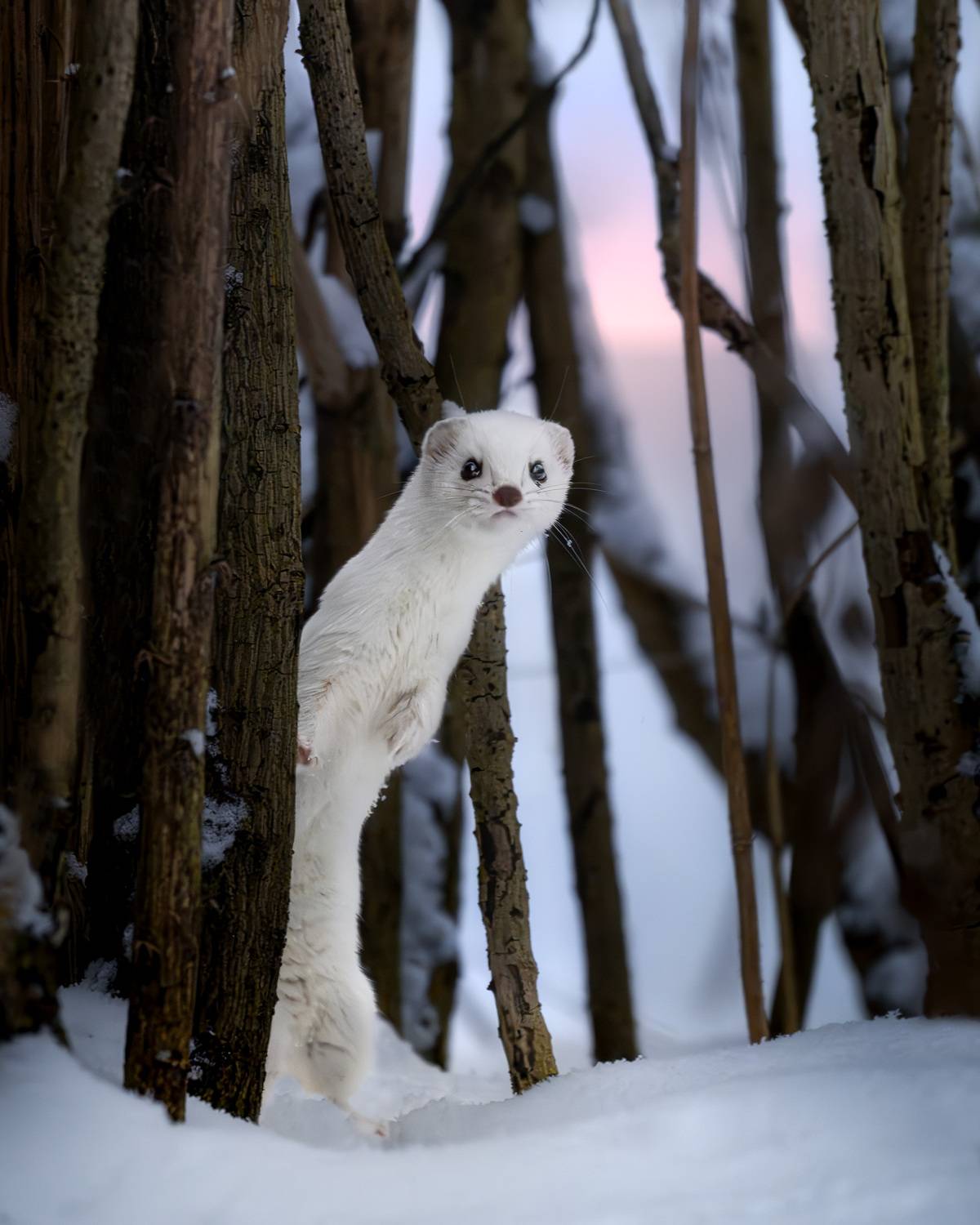 Фотография #13292345