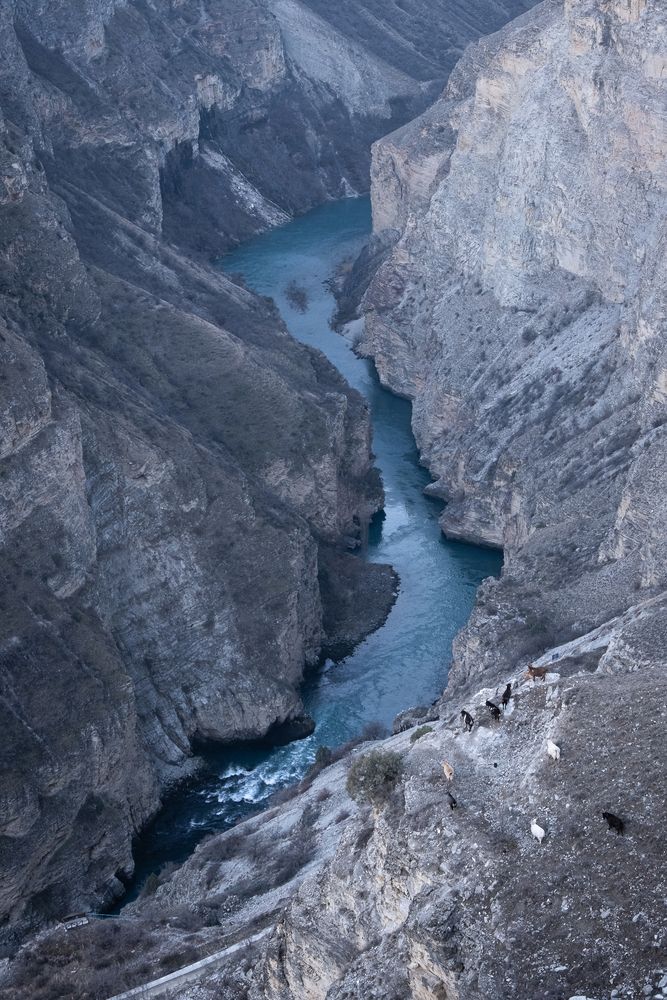 Фотография автора Dmitry Ishniyazov