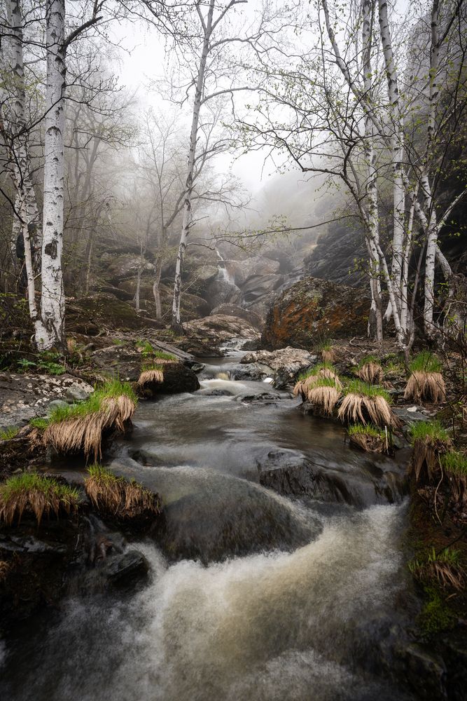 Photograph by Максим Кузнецов