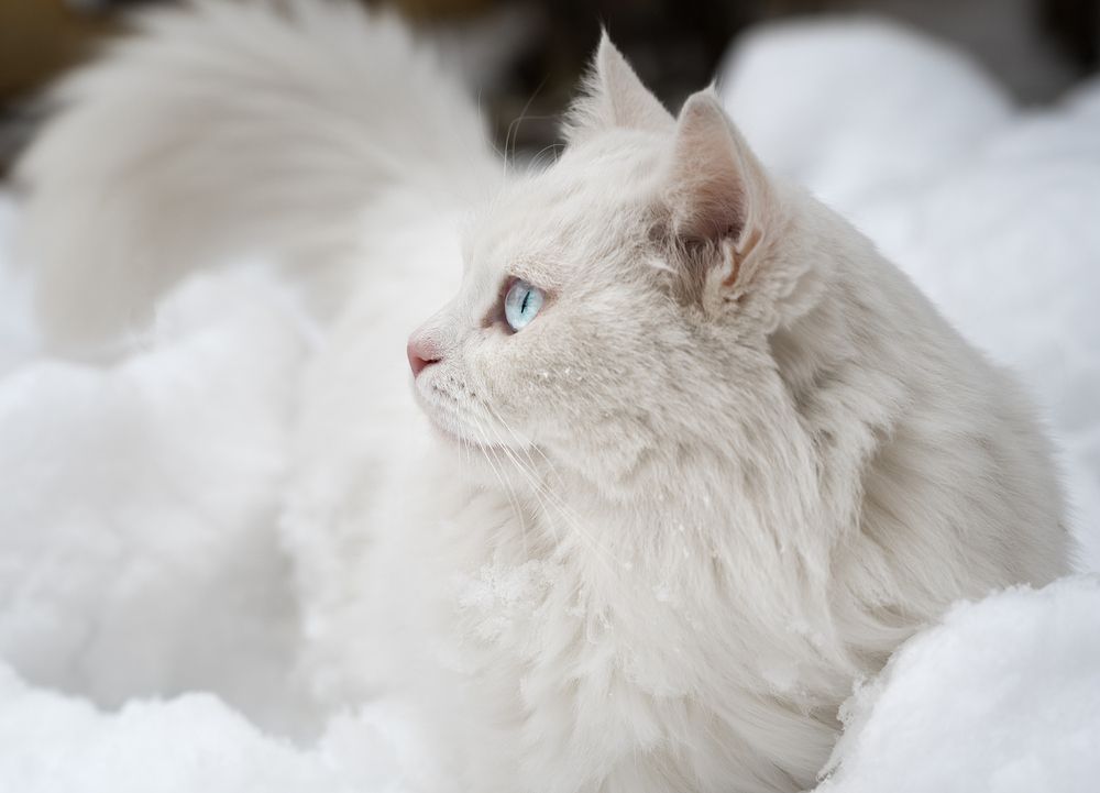 Photograph by Одинцов Валерий