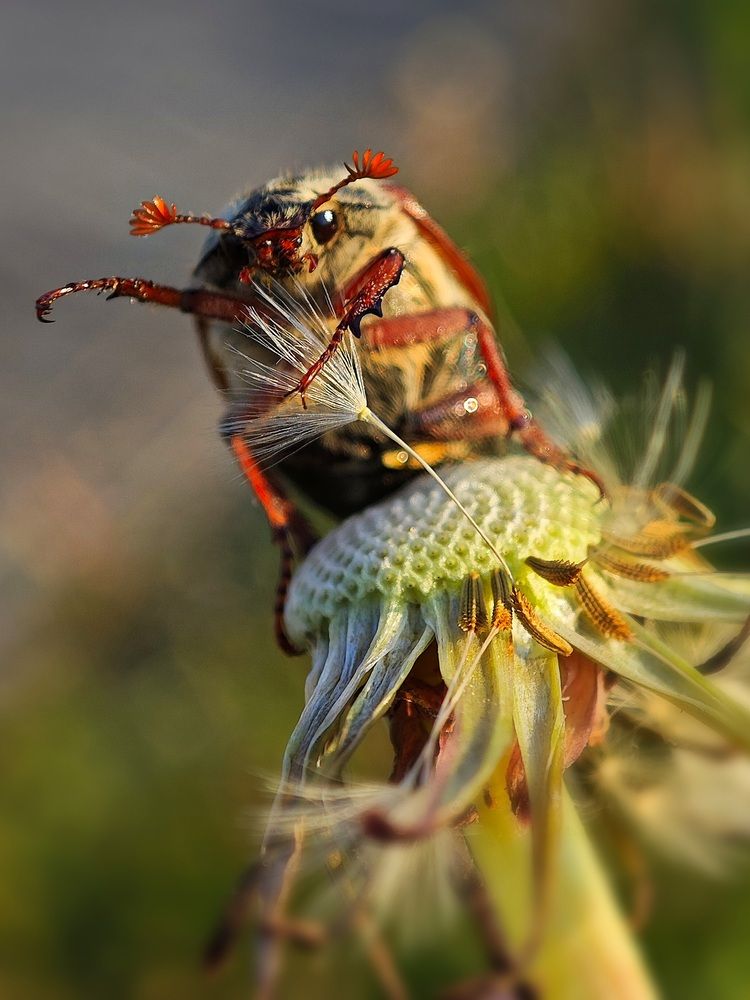 Photograph by Maryna Kukhtsikava