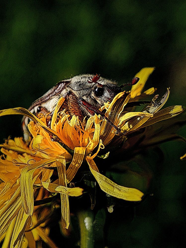 Photograph by Maryna Kukhtsikava