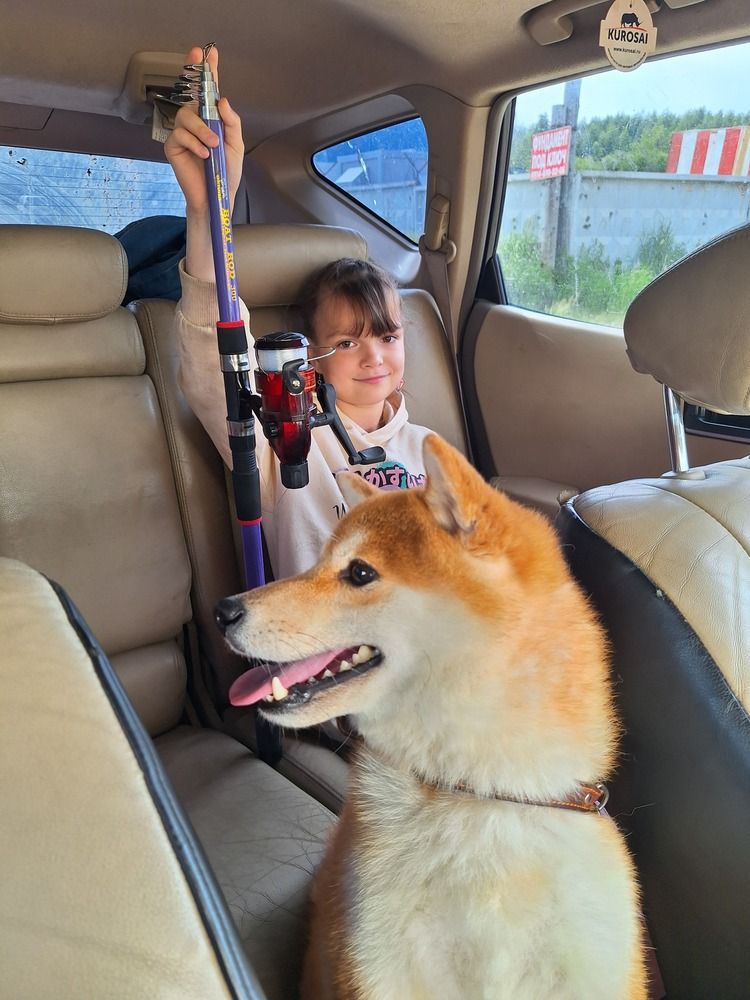 Photograph by Танэ Шмидт