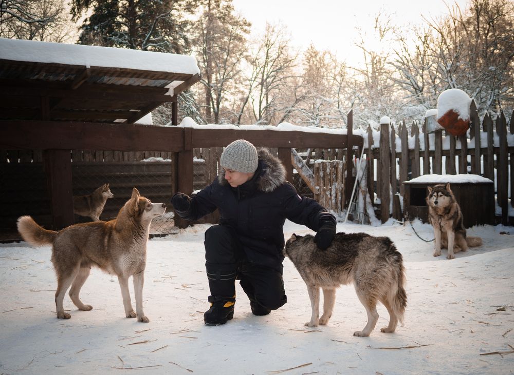 Photograph by Юля Рерих