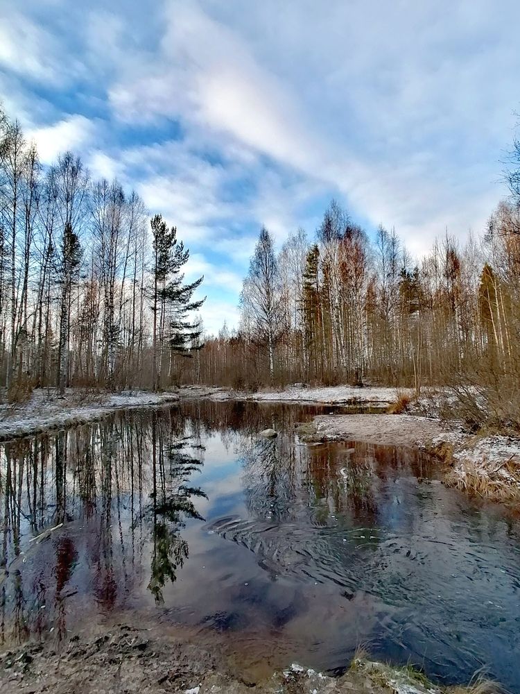 Предзимняя изысканность