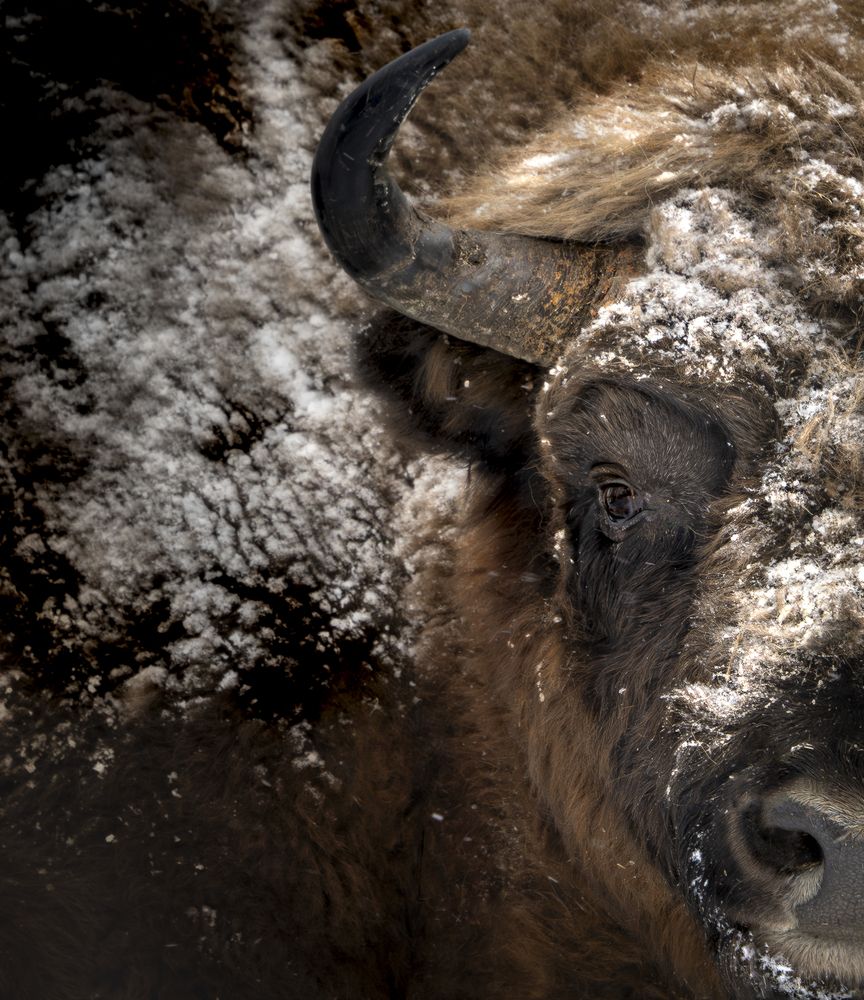 The sound of silence