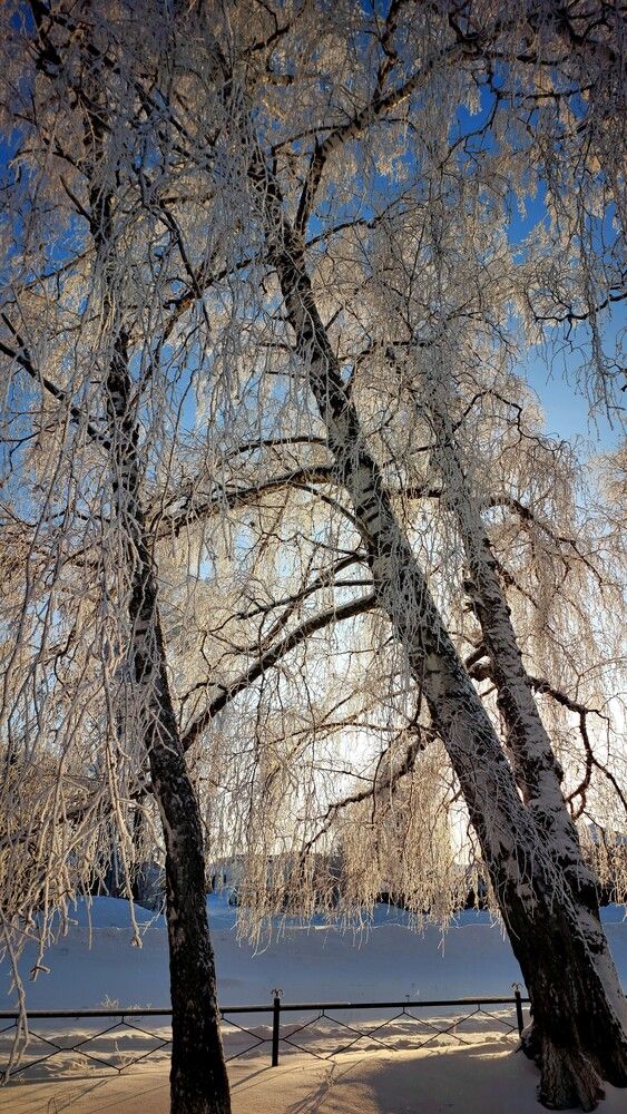 Photograph by Галина Мазур