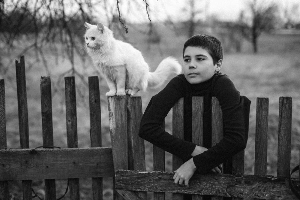 Photograph by Алёна Мил