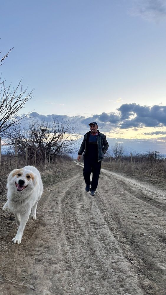 Photograph by Dmitriy Marchenko