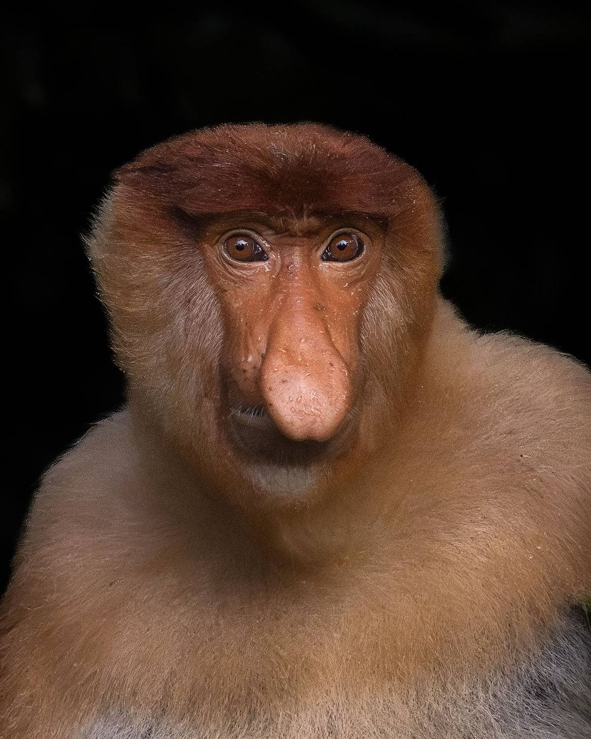 A Face You Don’t Forget