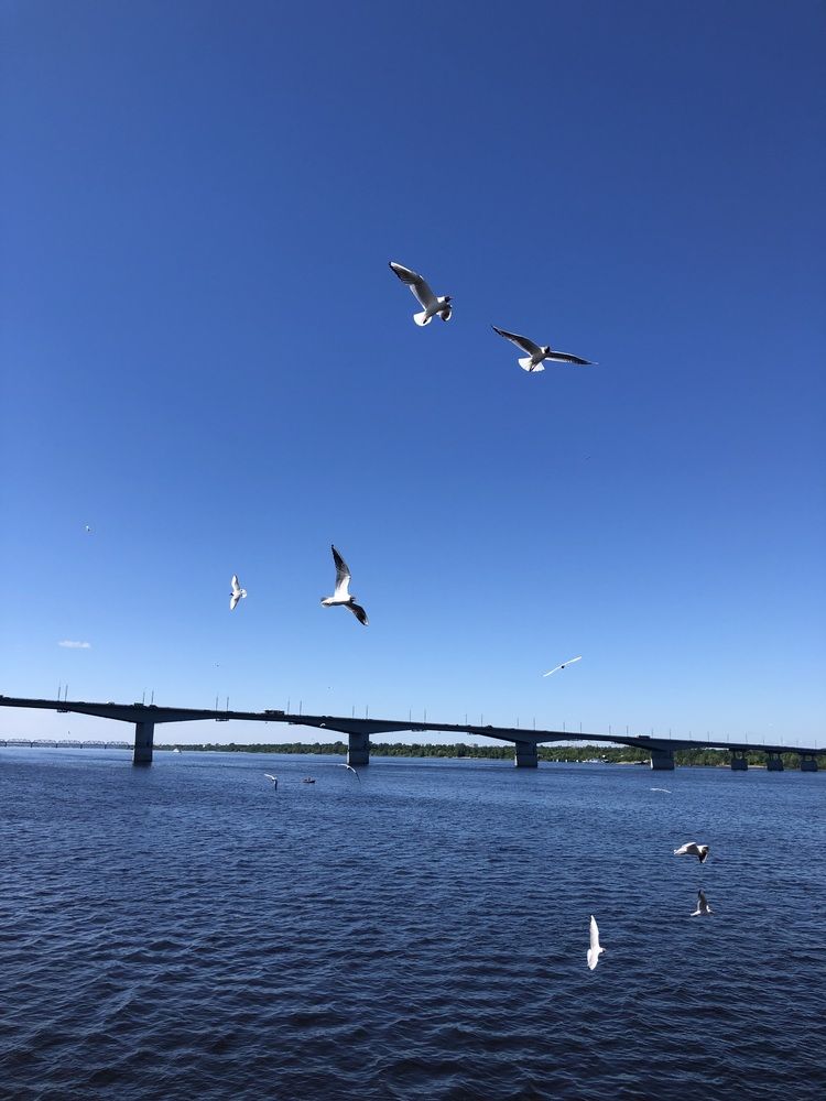 Мост через Каму