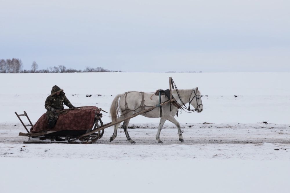 Photograph by Dmitriy Marchenko