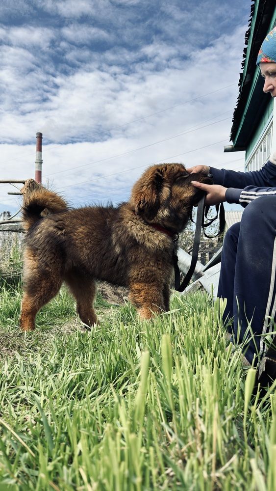 Photograph by Dmitriy Marchenko