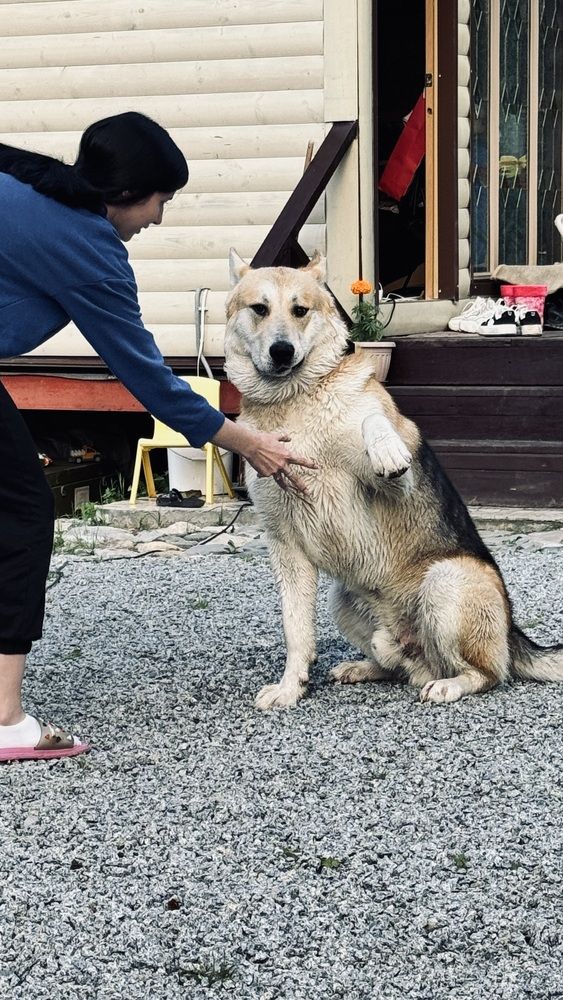 Photograph by Dmitriy Marchenko