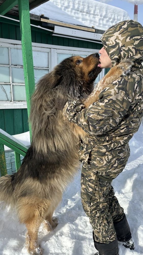 Photograph by Dmitriy Marchenko