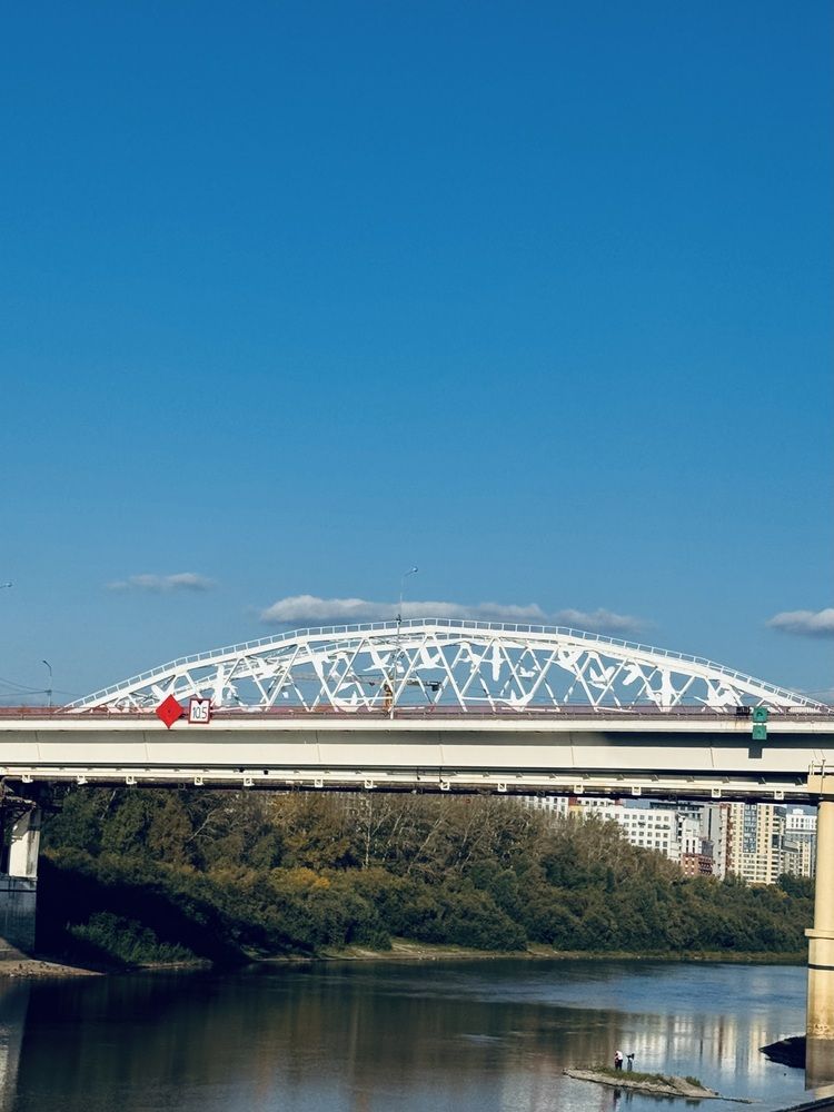 Летят журавли