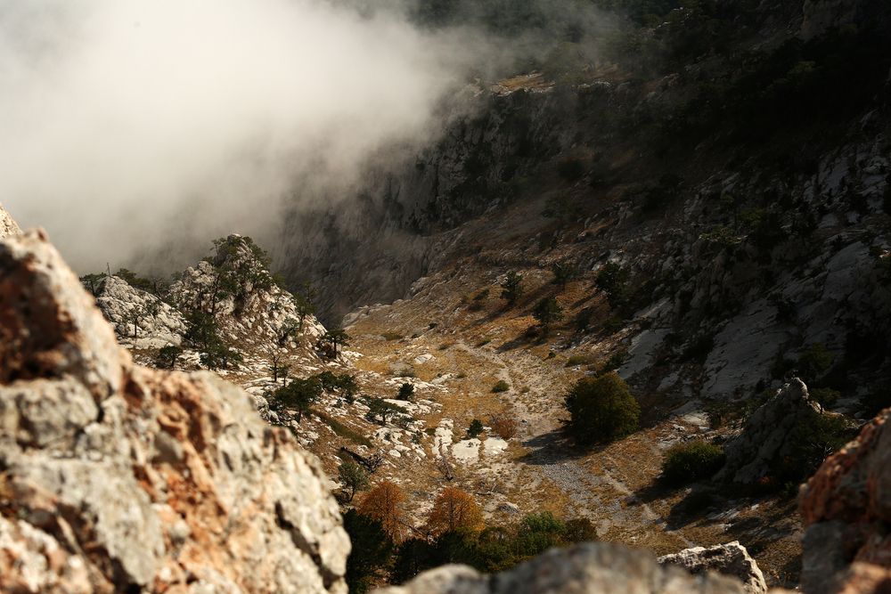 Photograph by Никита Львов