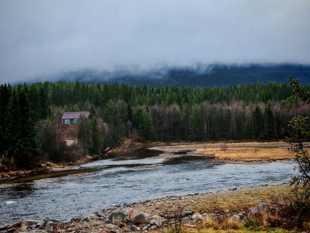 Photograph by Наталья Половая