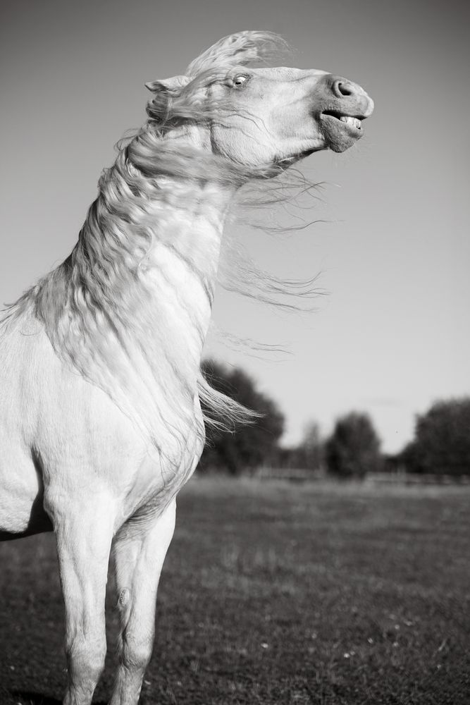 Photograph by Светлана Балабанова