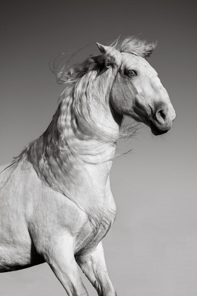 Photograph by Светлана Балабанова