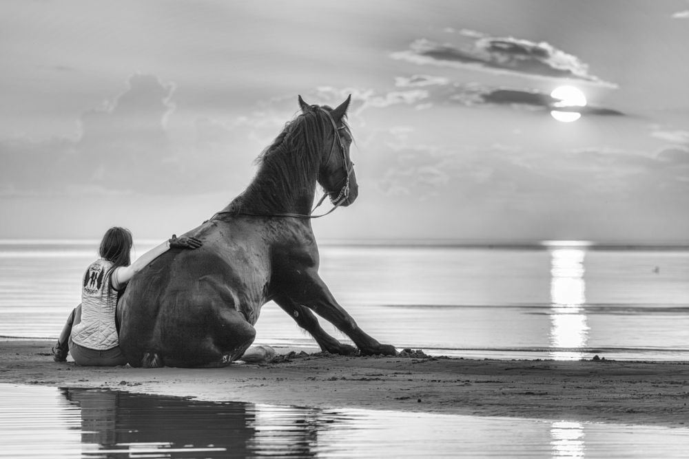 Photograph by Зубкова Юлия