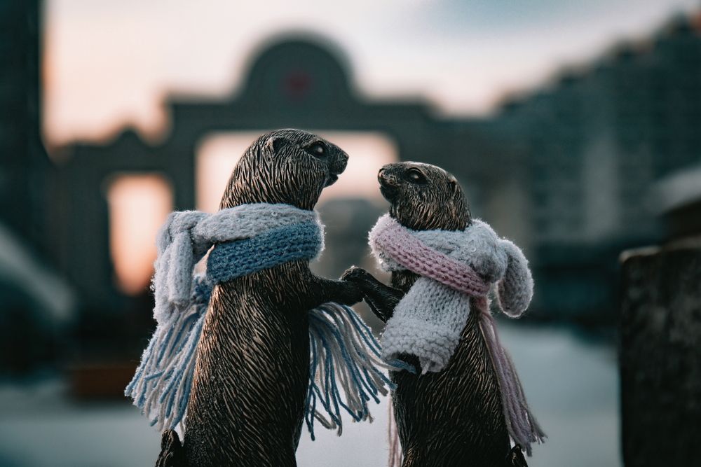 Photograph by Алмаз Пирматов