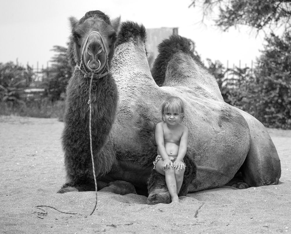 Фотография автора Анатолий Макоедов